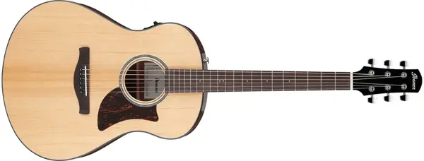 Ibanez AAM100E Natural