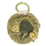 Plyšová knížka chameleon, Crazy