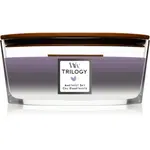 Woodwick Trilogy Amethyst Sky vonná svíčka s dřevěným knotem (hearthwick) 453,6 g