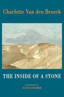 The Inside of a Stone - Charlotte Van den Broeck