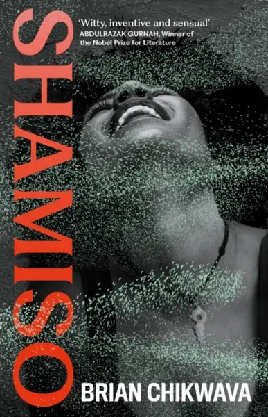 Shamiso - Brian Chikwava