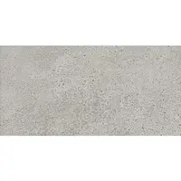 Dlažba Ashland light grey 29,8/59,8