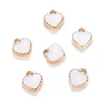 Heart Alloy Enamel Charms