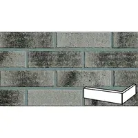 Klinker Klinker roh fasádny sivá žíhaná 7,1x24x11,5 cm RMANUSKYC