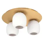 Stropné osvetlenie Eglo MANZANARES 900304