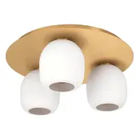 Stropné osvetlenie Eglo MANZANARES 900304