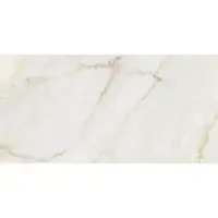 Joy Gold CCR111-1 30/60 Rett.