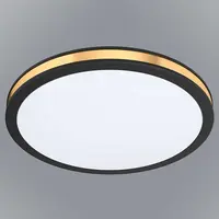 Luster Pescaito 99406 Led LW1