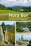 Hora Bor, dominanta Kladského pomezí - kniha z kategorie Historie