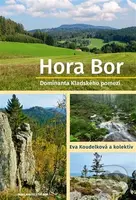 Hora Bor, dominanta Kladského pomezí - kniha z kategorie Historie