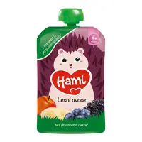 HAMI príkrm Smoothie lesné ovocie