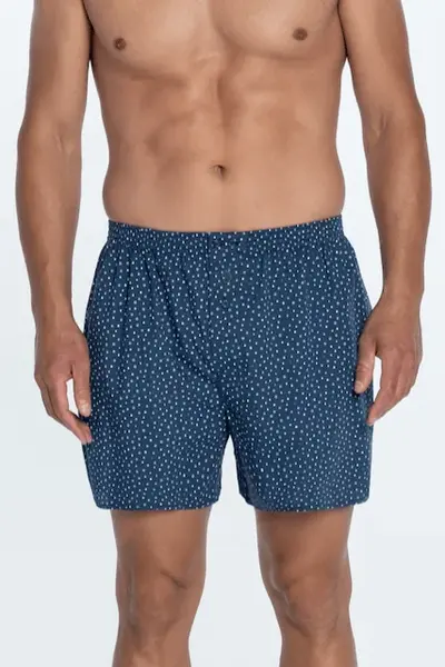 Pánské trenýrky RAMON ze 100% bavlny XL V dárkovém boxu