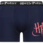 Pánské boxerky Harry Potter - Frogies