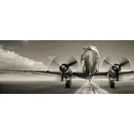 OBRAZ NA SKLE, krajina a příroda, 50/125/1,40 cm