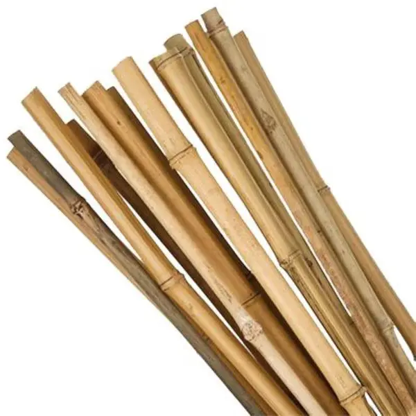 Tyč bamboo, průměr 1 - 1,5 cm, délka 70 cm