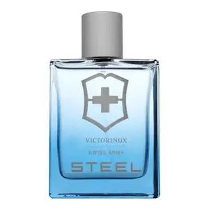 Swiss Army Steel toaletní voda pro muže 100 ml