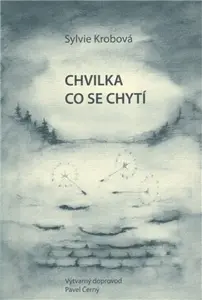 Chvilka co se chytí - Pavel Černý, Sylvie Krobová