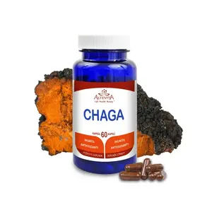 Chaga 2 x 60 kapsúl