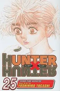 Hunter x Hunter, Vol. 25 - Yoshihiro Togashi