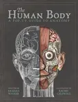 The Human Body - Richard Walker