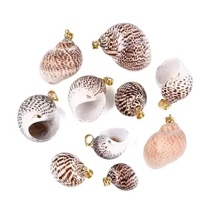 Brass & Natural Spiral Shell Pendants