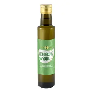 PURITY VISION Meduňková voda BIO 250 ml