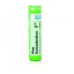 BOIRON Rhus Toxicodendron CH5 4 g