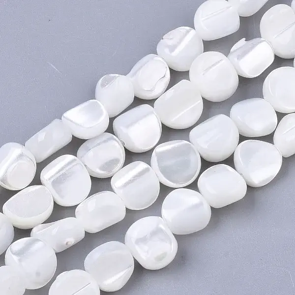Trochus Shell Beads Strands