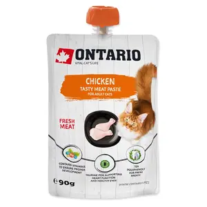 ONTARIO Pasta kuřecí 90 g