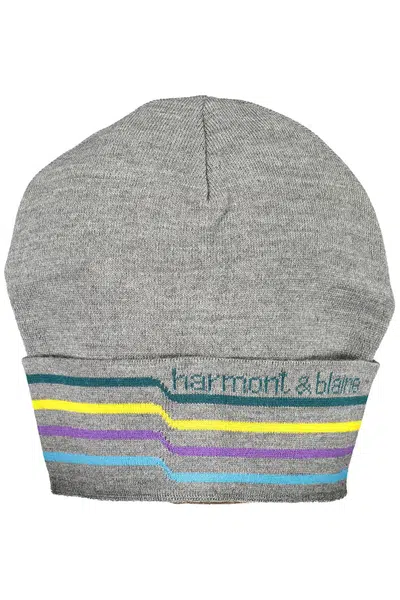 HARMONT &amp; BLAINE GRAY MEN'S BEANIE