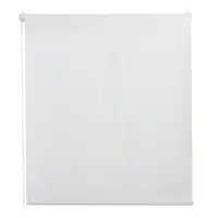 Homeware ROLETA, poloprůhledné, 60/160 cm