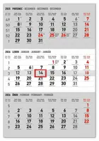 Nástěnný kalendář 3měsíční standard šedý - s českými jmény 2026 (poškozená)