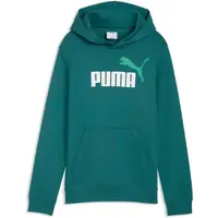 Puma ESSENTIALS 2 COLOR NO 1 LOGO HOODIE TR B Detská mikina, zelená, veľkosť