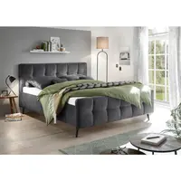 MID.YOU ČALOUNĚNÁ POSTEL, 180/200 cm, antracitová