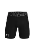 UNDER ARMOUR Športové nohavice  čierna