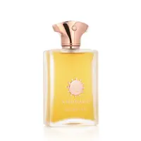 Amouage Overture Man EDP 100 ml M (Starý obal)