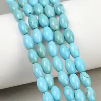 Natural Magnesite Beads Strands