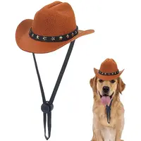 Felt Pet Cowboy Hat