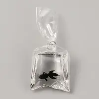 Transparent Resin Big Pendants