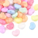 Transparent Acrylic Beads
