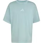 adidas M A SZN W TEE Pánské triko, světle zelená, velikost XXL