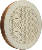 Meinl Sonic Energy WD18FOL