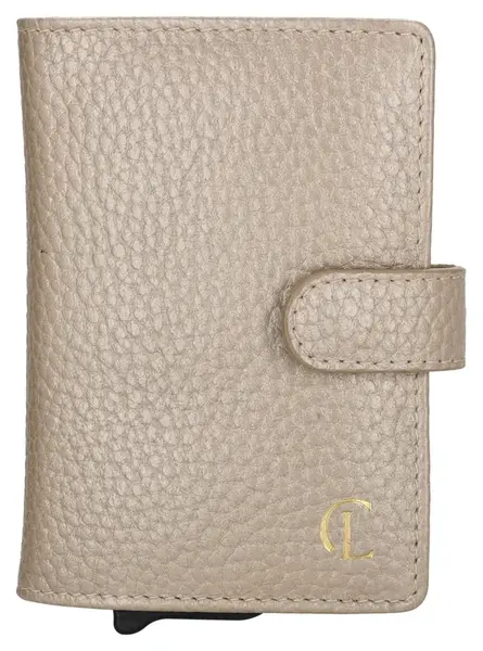 Mini peněženka Charm London Washington 21276 Gold