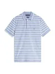 TOMMY HILFIGER Tričko  dymovo modrá / biela