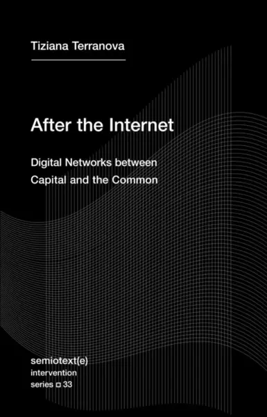 After the Internet - Tiziana Terranova