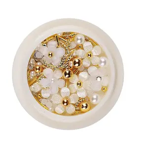 Nail Art Decorations Accessories Kits