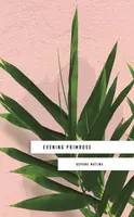 Evening Primrose: a heart-wrenching novel for our times - Kopano Matlwa