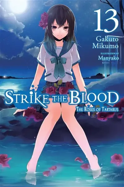 Strike the Blood, Vol. 13 (light novel) - Gakuto Mikumo, Manyako Manyako
