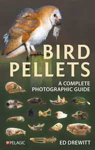 Bird Pellets - Ed Drewitt