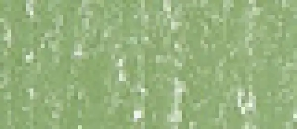 Sennelier suchý pastel 172 Moss Grey Green